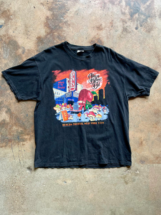 1999 Allman Brothers Beacon Theater NYC | X-Large