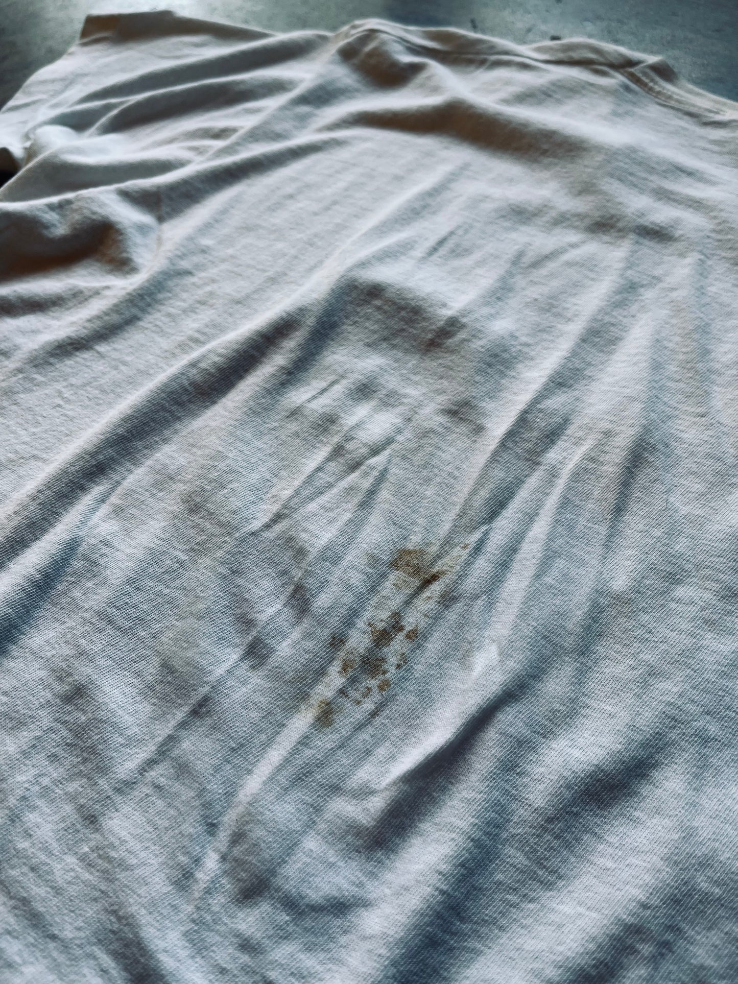 1980’s Fruit of The Loom Arizona Souvenir Tee