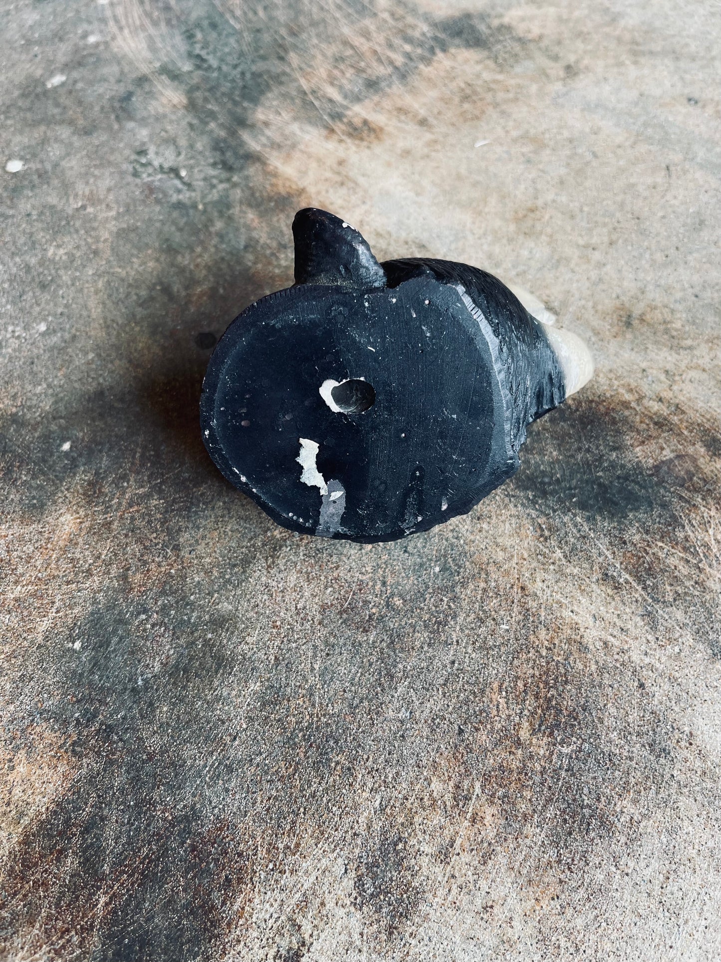 Black Bear Head Mount