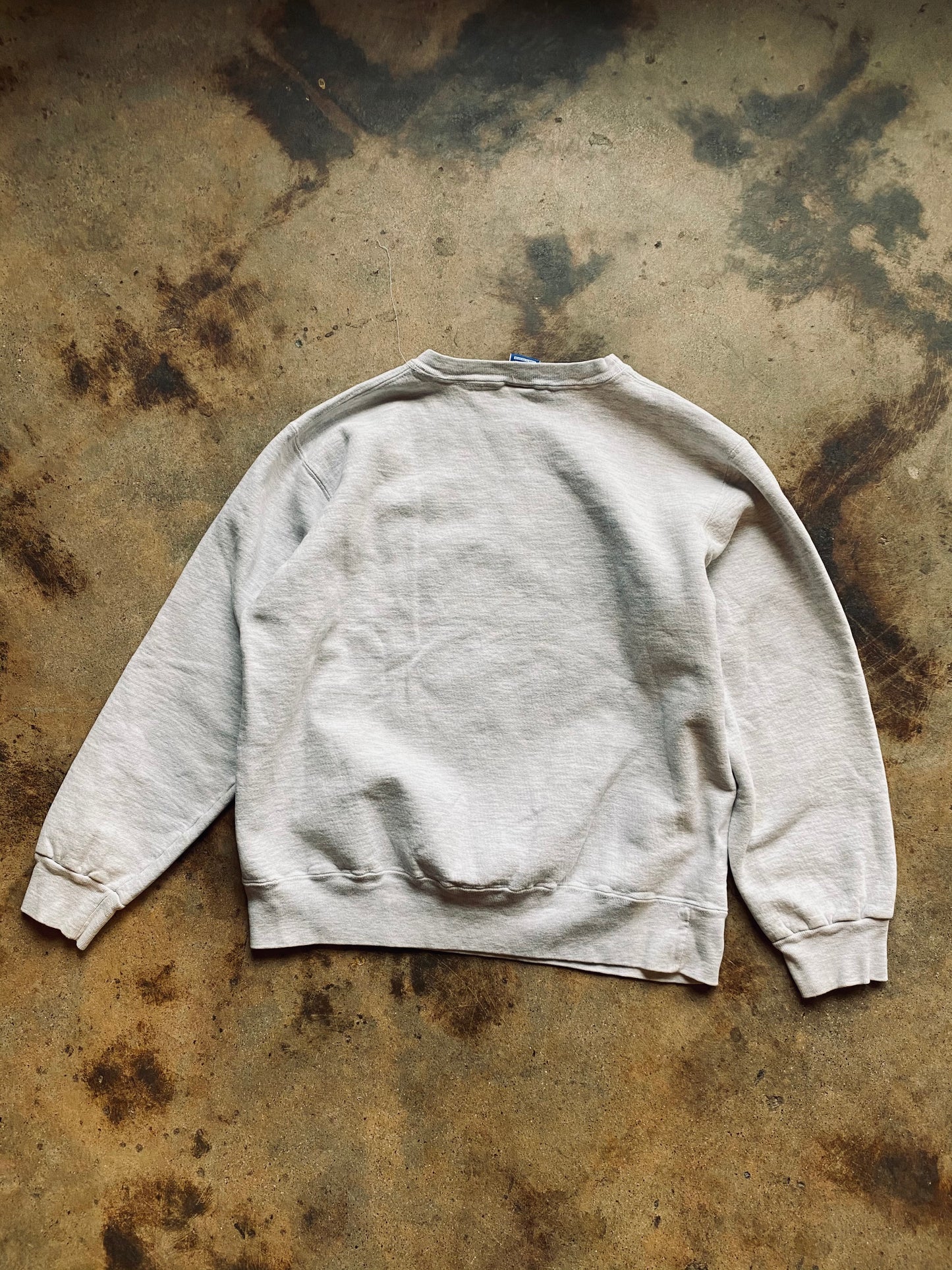 1990s Champion “Princeton” Sweatshirt