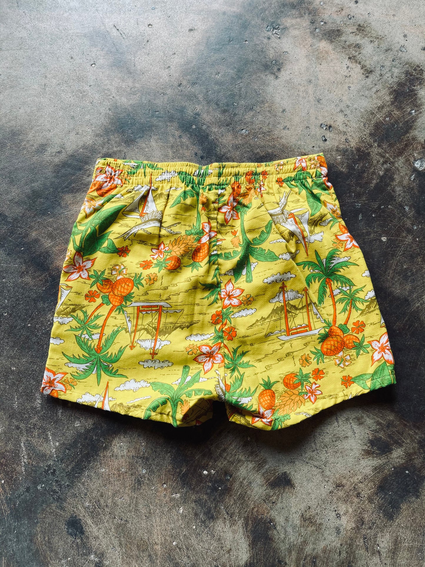 1960s Rob Roy Hawaiian Print Swim Trunks | Small