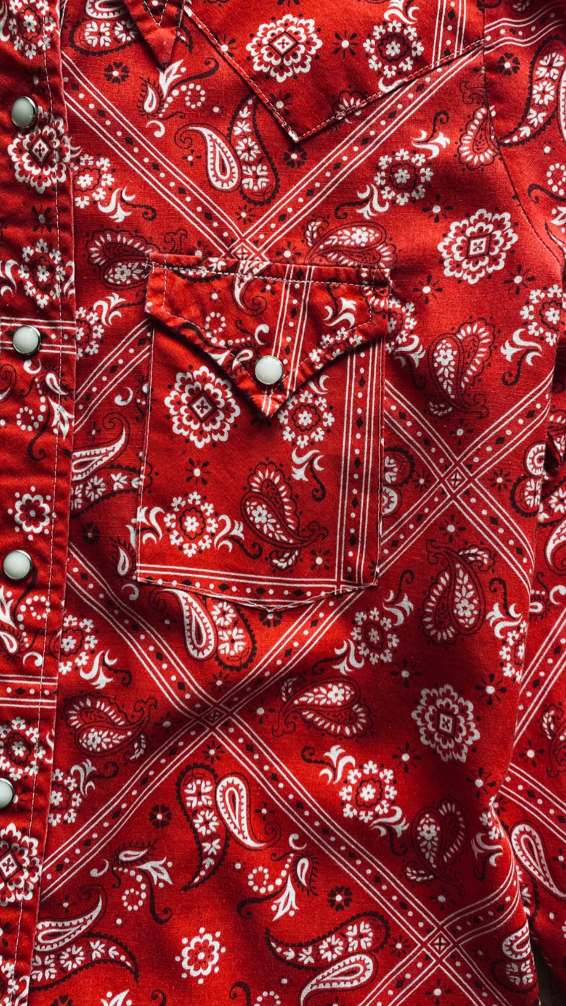1970s Ely Glad Rags Bandana Blouse