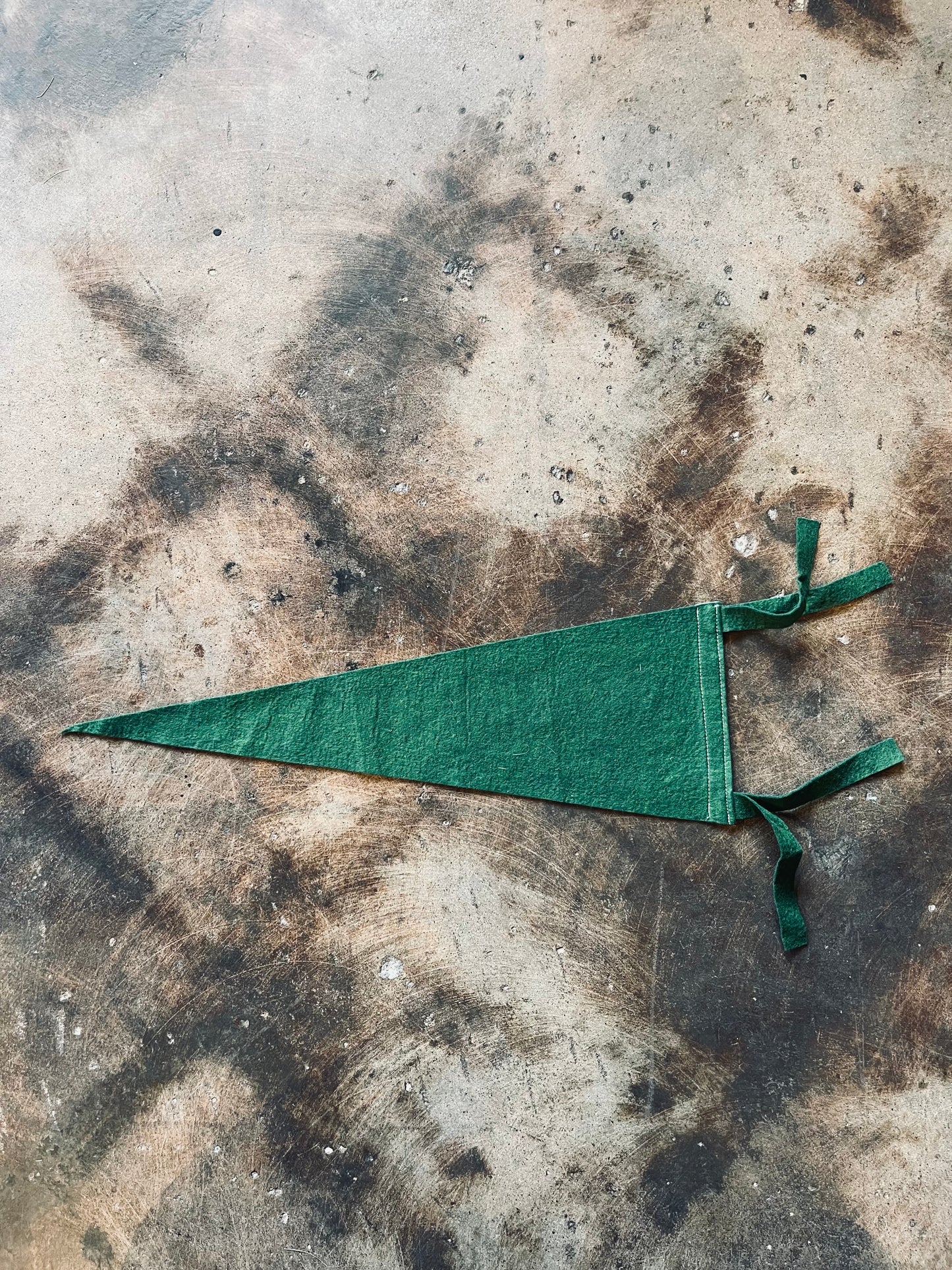 Vintage Pinchot State Park Pendant Flag