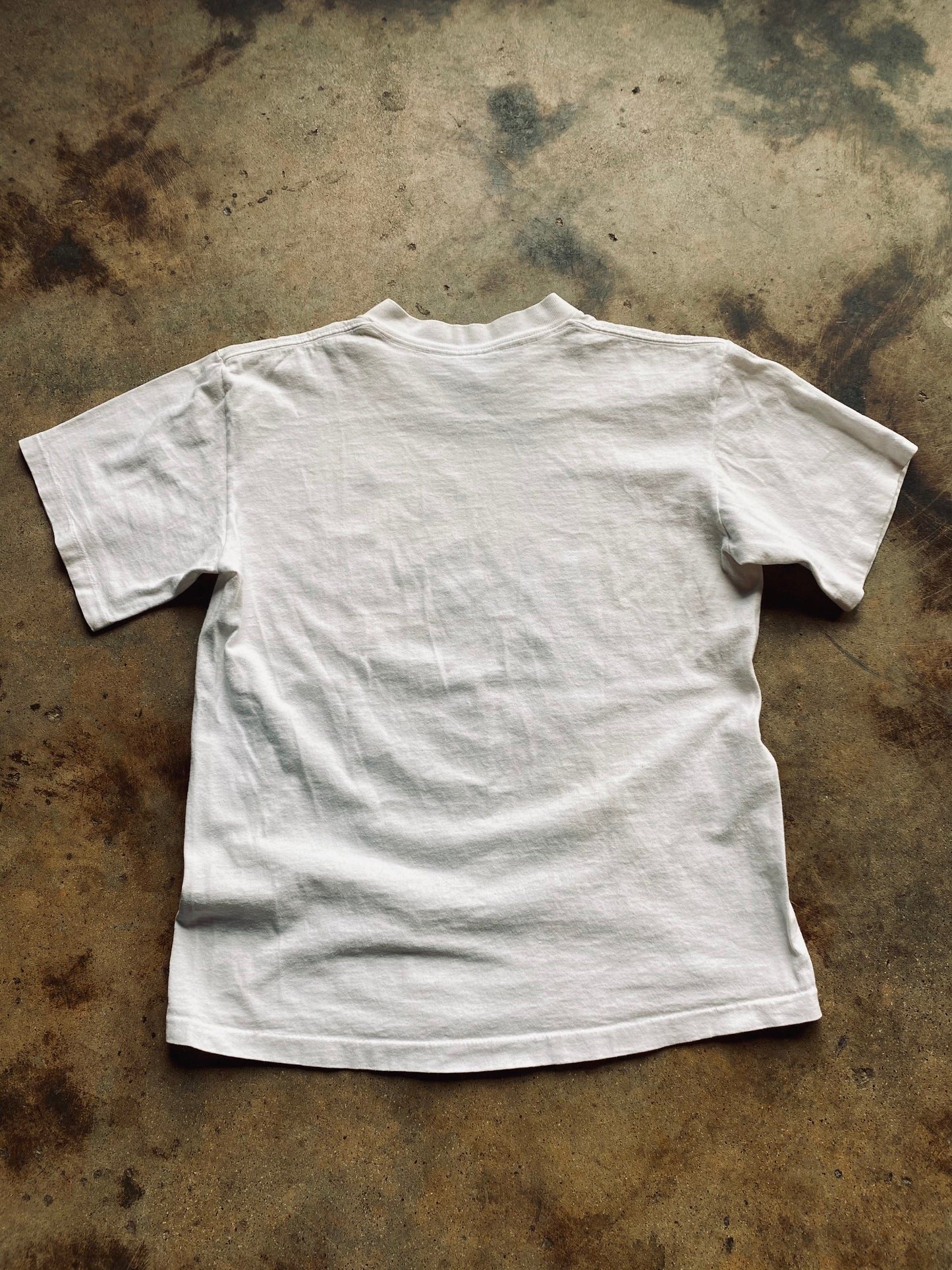 1991 Sof-Tee “Alaska” Souvenir Tee | Medium