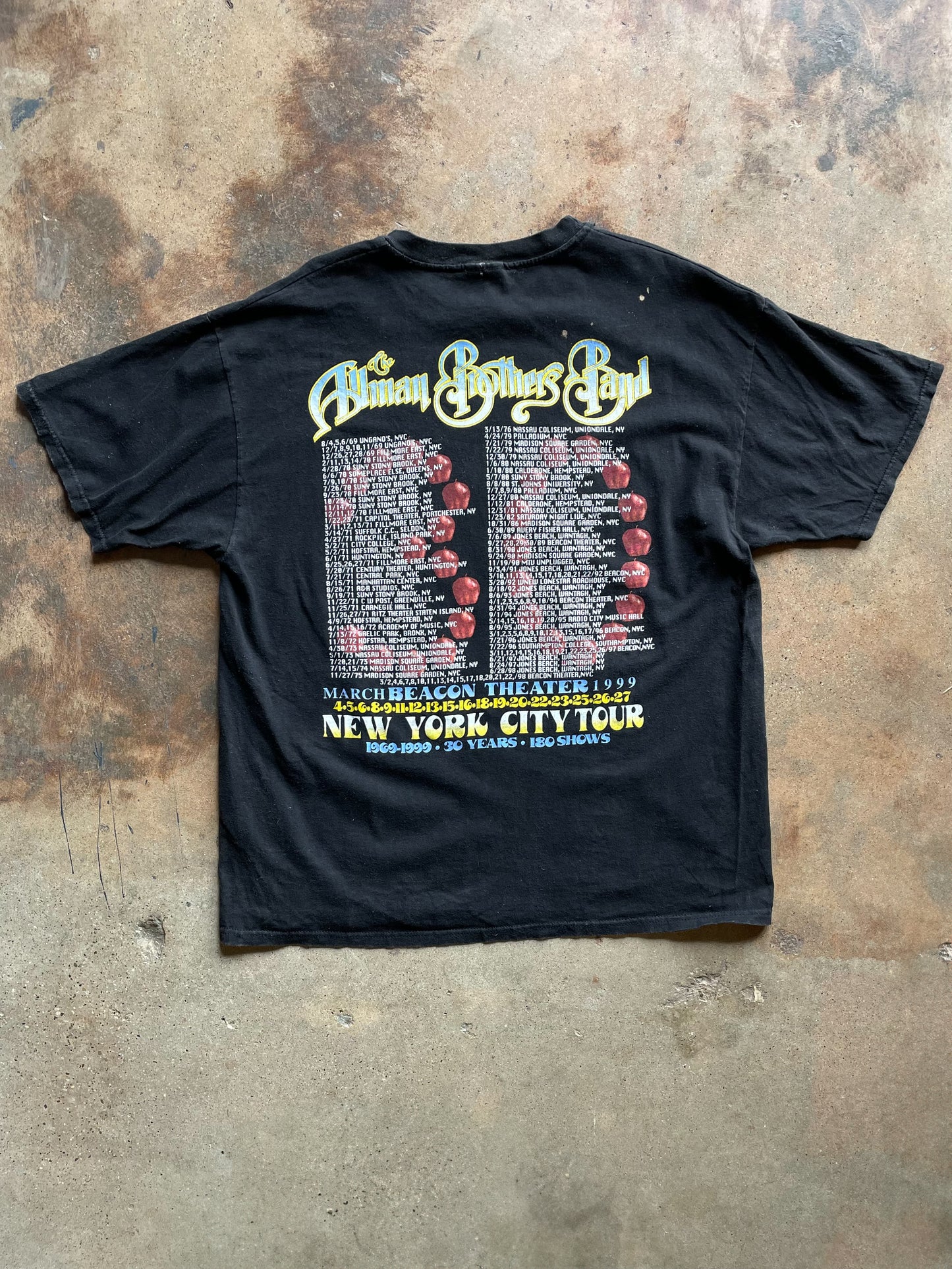 1999 Allman Brothers Beacon Theater NYC | X-Large