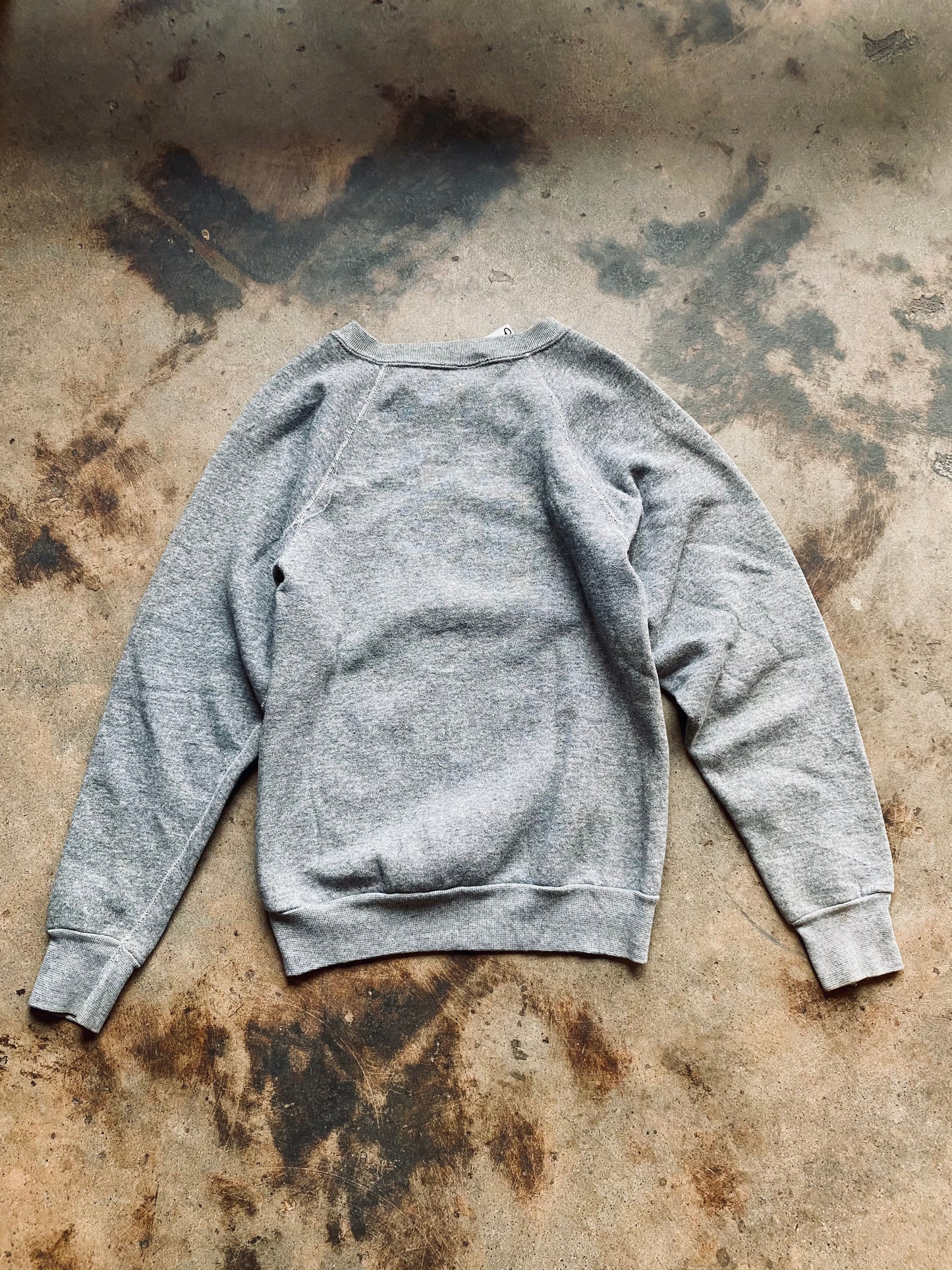 1980s Discus Raglan Sleeve “Princeton” Sweatshirt | Small