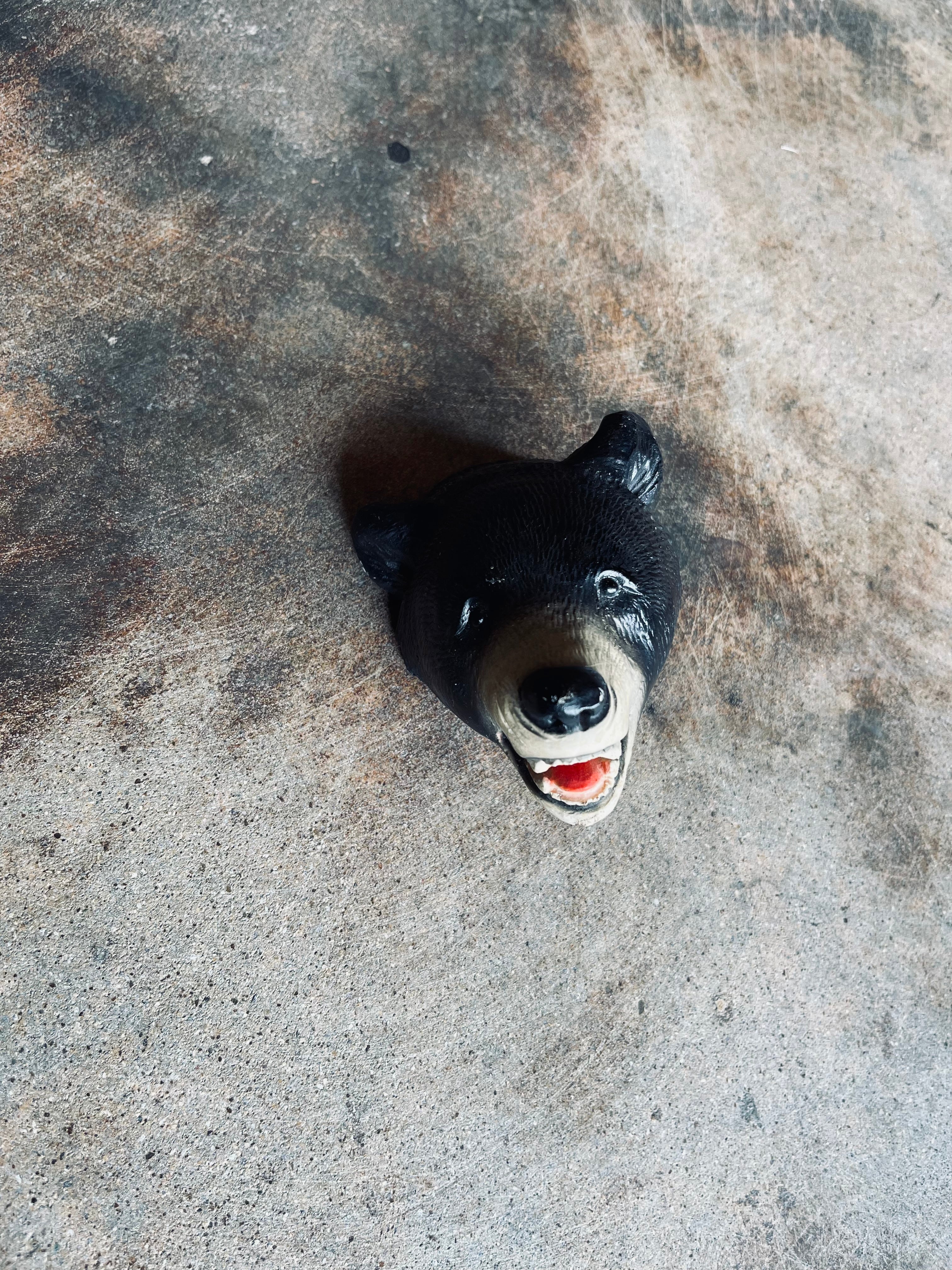 Black Bear Head Mount