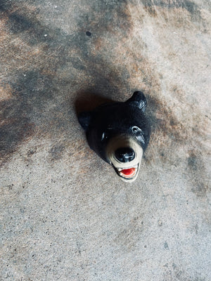 Black Bear Head Mount