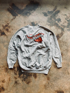 1980s Pannill Brand “Arkansas Razorbacks” Raglan Sleeve Sweatshirt | Large