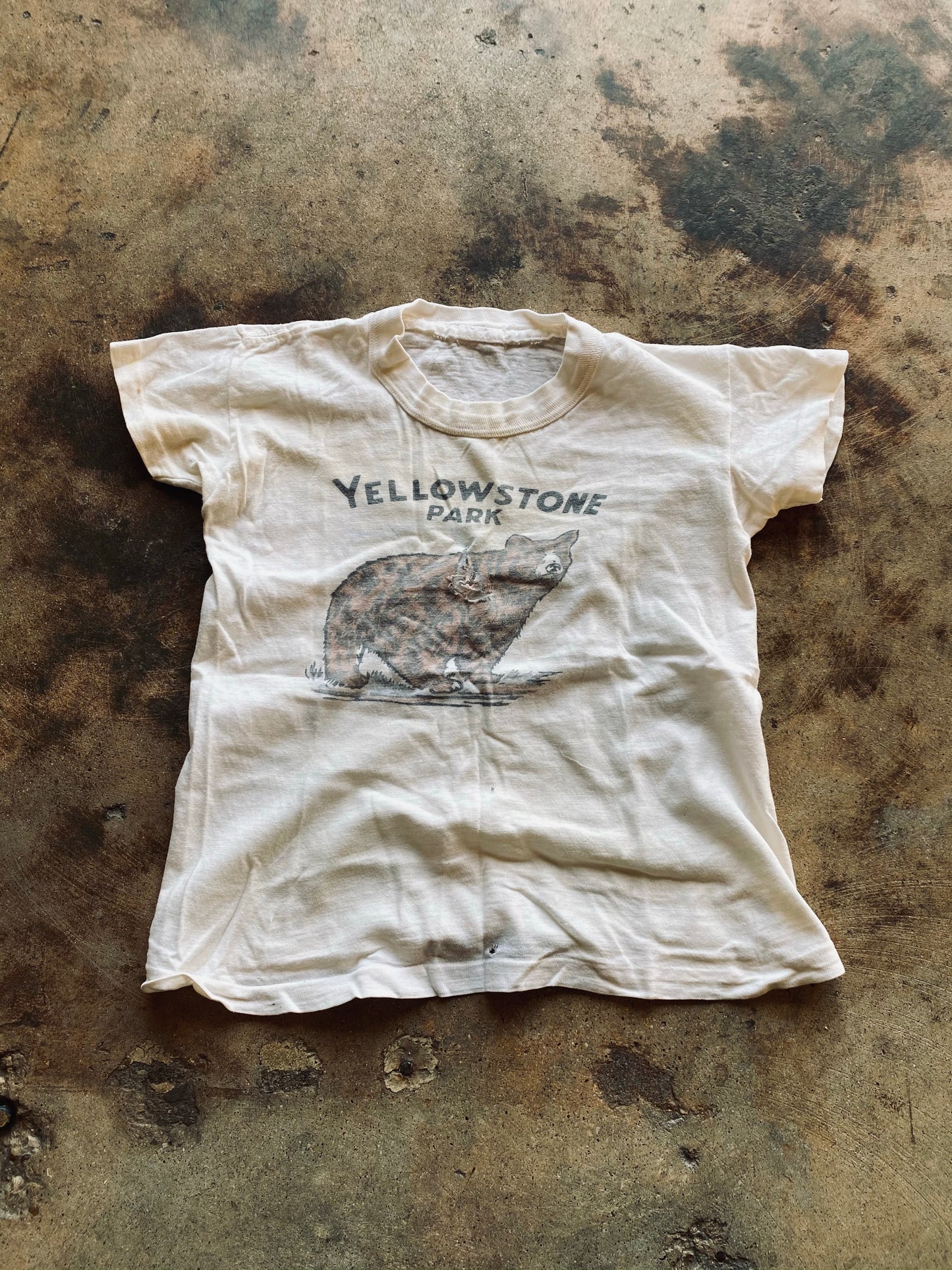 Vintage Yellowstone Park Graphic Tee