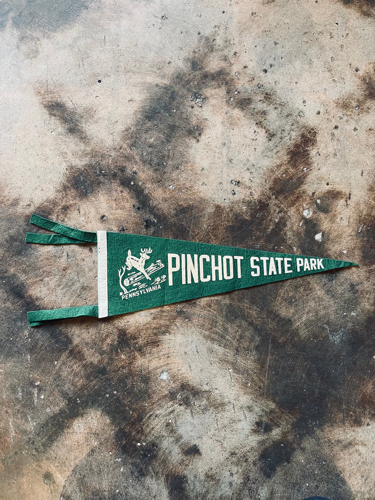 Vintage Pinchot State Park Pendant Flag